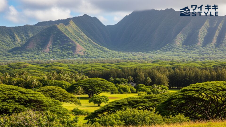 ハワイで日本人が減った理由を歴史・経済・観光から読み解く